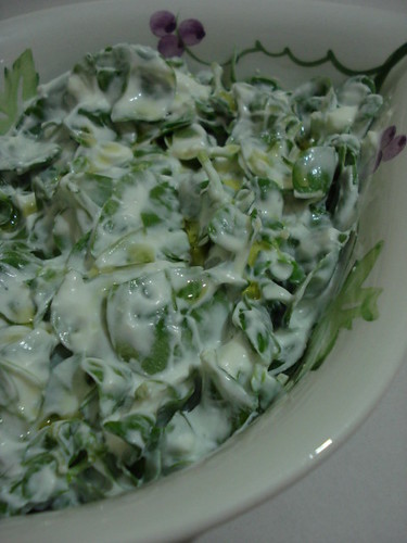 semizotu salatası 007