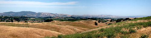 Napa Panorama