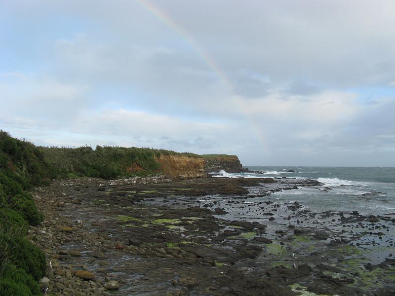 rainbow over curio bay with penguins