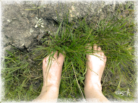summer feet 2