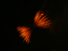 fireworks02
