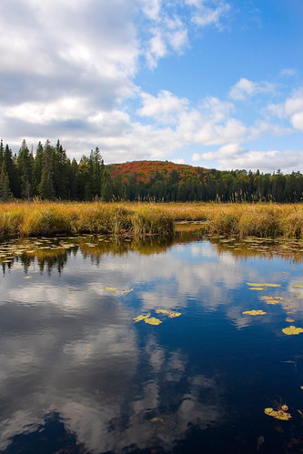Explore the vast expanse of Algonquin Park this weekend (photo by 