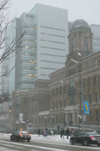 Snow Storm Toronto Dec 08. mars in the snowstorm. I like the old building next to the new and how under the old there's a magnificent modern area.
