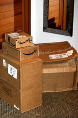 third UPS delivery in two days - after being snowed-in for 14 days - _MG_5647