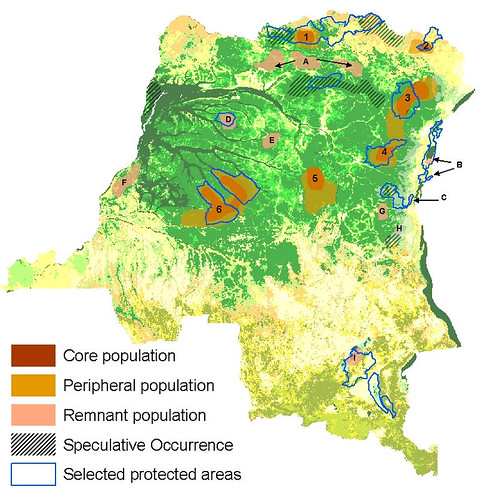 Areas where elephants have not disappeared in DRCongo