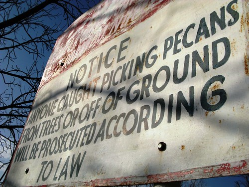 Poaching Pecan Pickers will be Prosecuted Profusely in Profound Practices of Pious Poetry near Fabens, Texas, USA