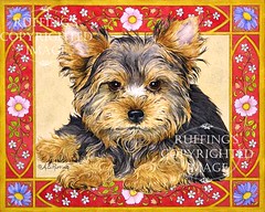 "Yorkie Puppy AER91 by A E Ruffing