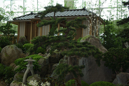 Zen Garden 2