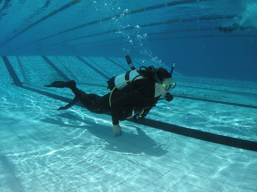 Adventures in scuba diving by national association of 