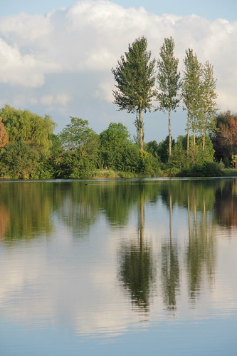 Reflections on a lake