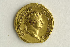 Titus aureus