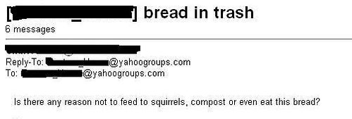 re: bread in trash — Is there any reason not to feed to squirrels, compost, or even eat this bread?