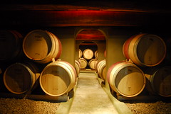 Wine Cellar, Cafayate