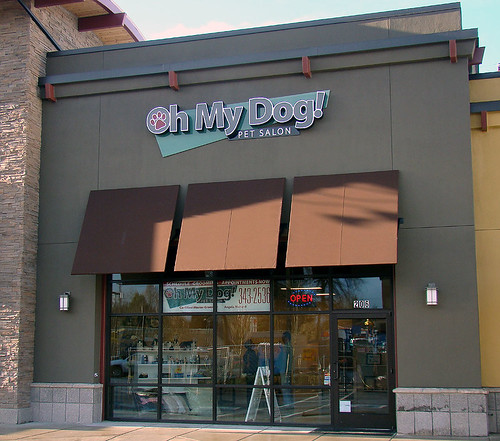 Pet Grooming Eugene Oregon by Oh My Dog!