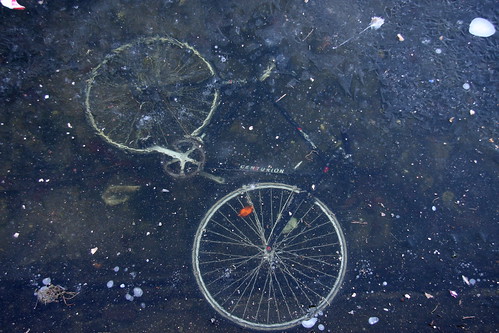 Frozen Bicicle