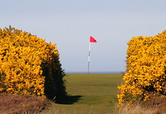 16th Green, Royal Dornoch Golf Course