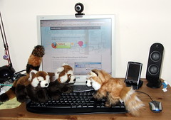 Mozilla Firefox 3 e tre Firefox