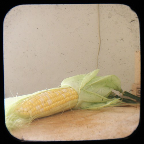 Corn Indoors