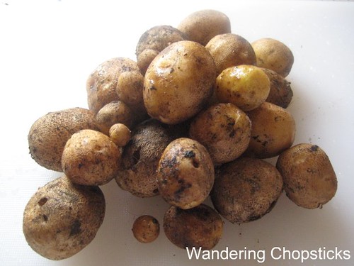 Homegrown Fingerling Potatoes 7