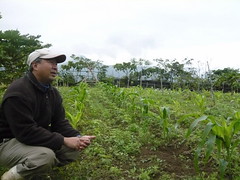 台東夏耘自然農莊透過有機種植及直銷合購，與消費者直接建立關係。