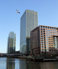 Morgan Stanley & Lehman Brothers Buildings, Canary Wharf, London.