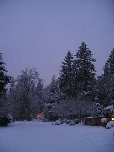 Dawn, Dec 24