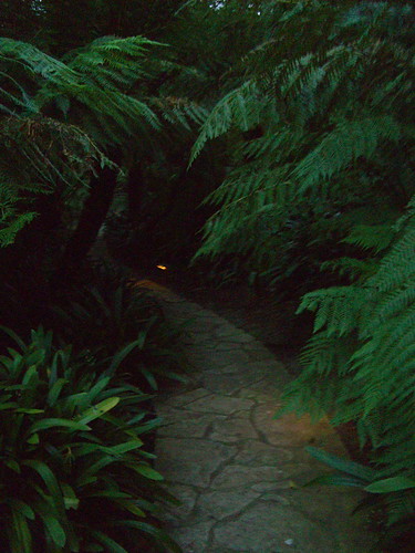Jungle paths at the Playboy Mansion