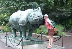 Bronx Zoo - Lisa and Rhino