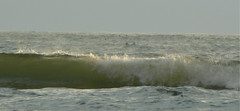 Waves on Indian Beach #2