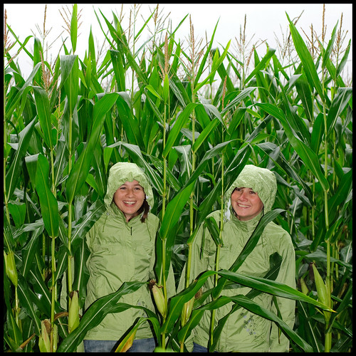 Sisters Of The Corn (by Christophe Vanfleteren)