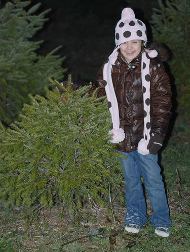 Lanie wanted this tree by you.