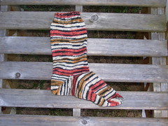 Tiger socks