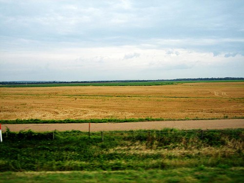 Arkansas field