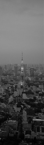 Tokyo 2008 - Roppongi Hills - Tokyo City View (1)