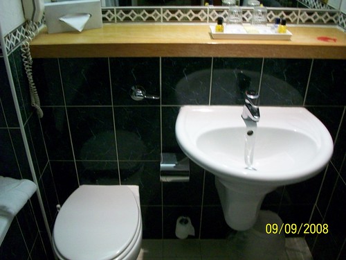 Ireland - Hotel New Park Killkenny - green 'marble' bathroom