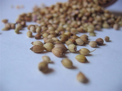 Vietamese noodle "Phở" seasoning - Coriander seeds  