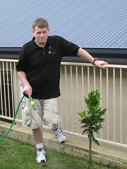 Kevin watering his mandarin tree