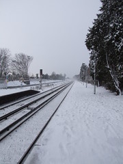 Earlswood Snow