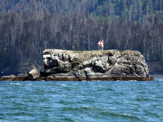 Gull Island off Homer 20110622