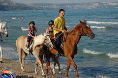 Horseback Riding on the beach