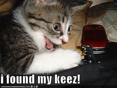 funny-pictures-kitten-found-keys