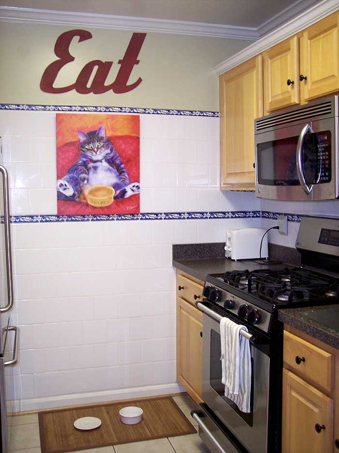 DC_apartment_kitchen