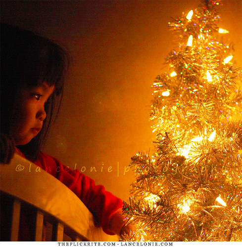 Sophia's Little Christmas Tree by lancelonie.com, on Flickr