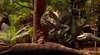 Dilophosaurus alimentando a su bebé