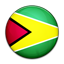 Flag of Guyana PNG Icon