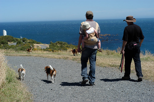 beagle walk: peaceful