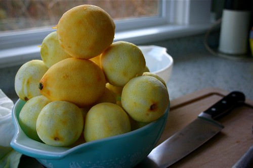 zested lemons