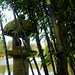 Parc de Maulévrier - Bambou nigra et lanterne