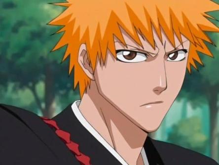 Bleach 370 The Course to Other Captains