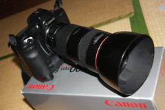 Canon 80-200 2.8 L